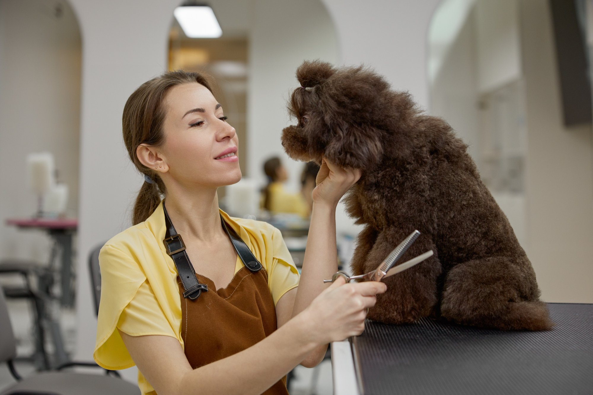 A freshly groomed dog on the grooming table, bandana on, tail mid-wag